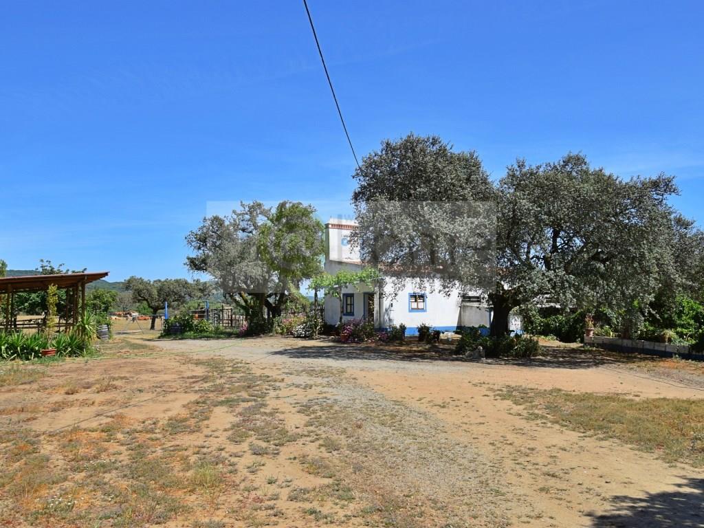 Estate with 45 hectares Montemor-o-Novo