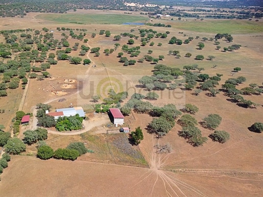 Estate with 45 hectares Montemor-o-Novo