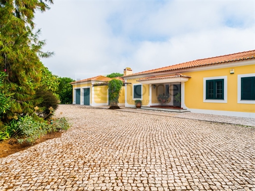 Detached 4 bedroom Villa in Mata do Duque in Santo Estevão