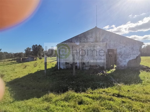 Farm with ruin to rehabilitate in Vale de Água
