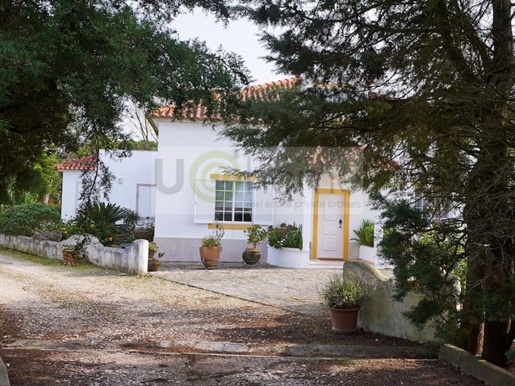 Multi-Purpose farm in Sintra, for leisure or business!