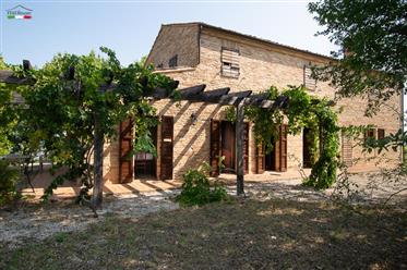 Dentro - Magnificent restored rustico in a beautiful secluded location