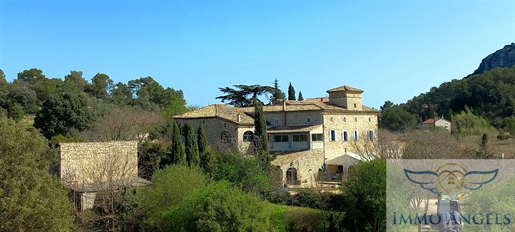 Gard | Rousson | Exceptional farmhouse of 960 m2 on 21 hectares - 10 rented apartments - Olive grove