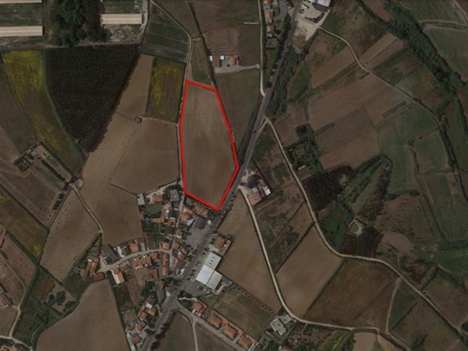 15.120 m² großes Grundstück zwischen Lourinhã und Peniche mit genehmigtem Projekt