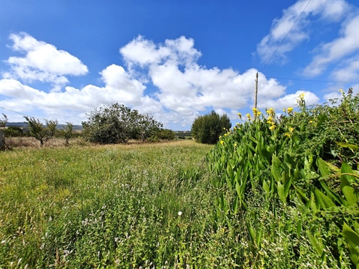 מכירה: מגרש (2540)