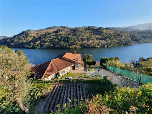 Rustikale Villa mit herrlichem Blick über den Fluss Douro