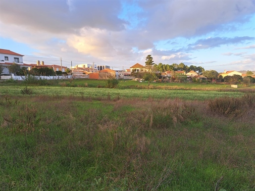 Plots for construction in the village of Campo, 5 minutes from Caldas da Rainha