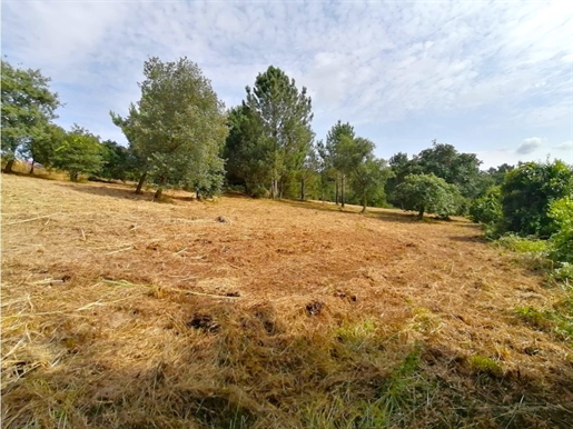Land in Óbidos with great potential for an urban plan