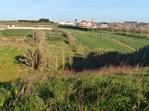 Land with tourist project near the beaches