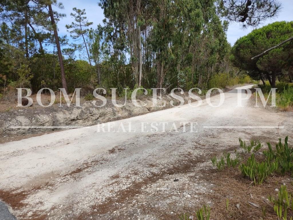 Prime Building Plots with Lagoon Views in Quinta do Bom Sucesso