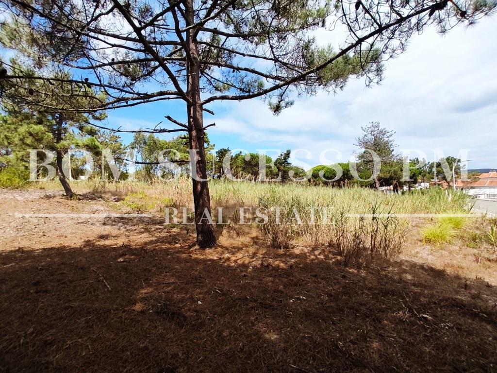 Prime Building Plots with Lagoon Views in Quinta do Bom Sucesso