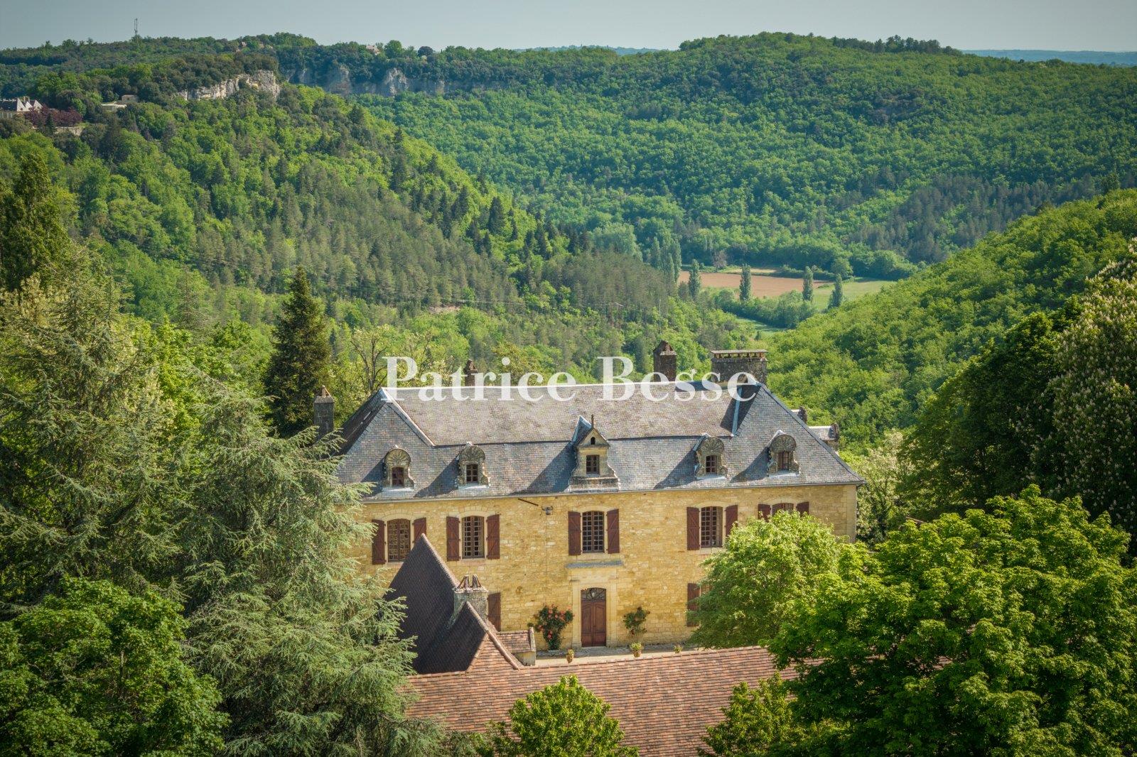 A chateau from the late 17th century, with breath-taking views, outbuildings and 38 hectares of wood