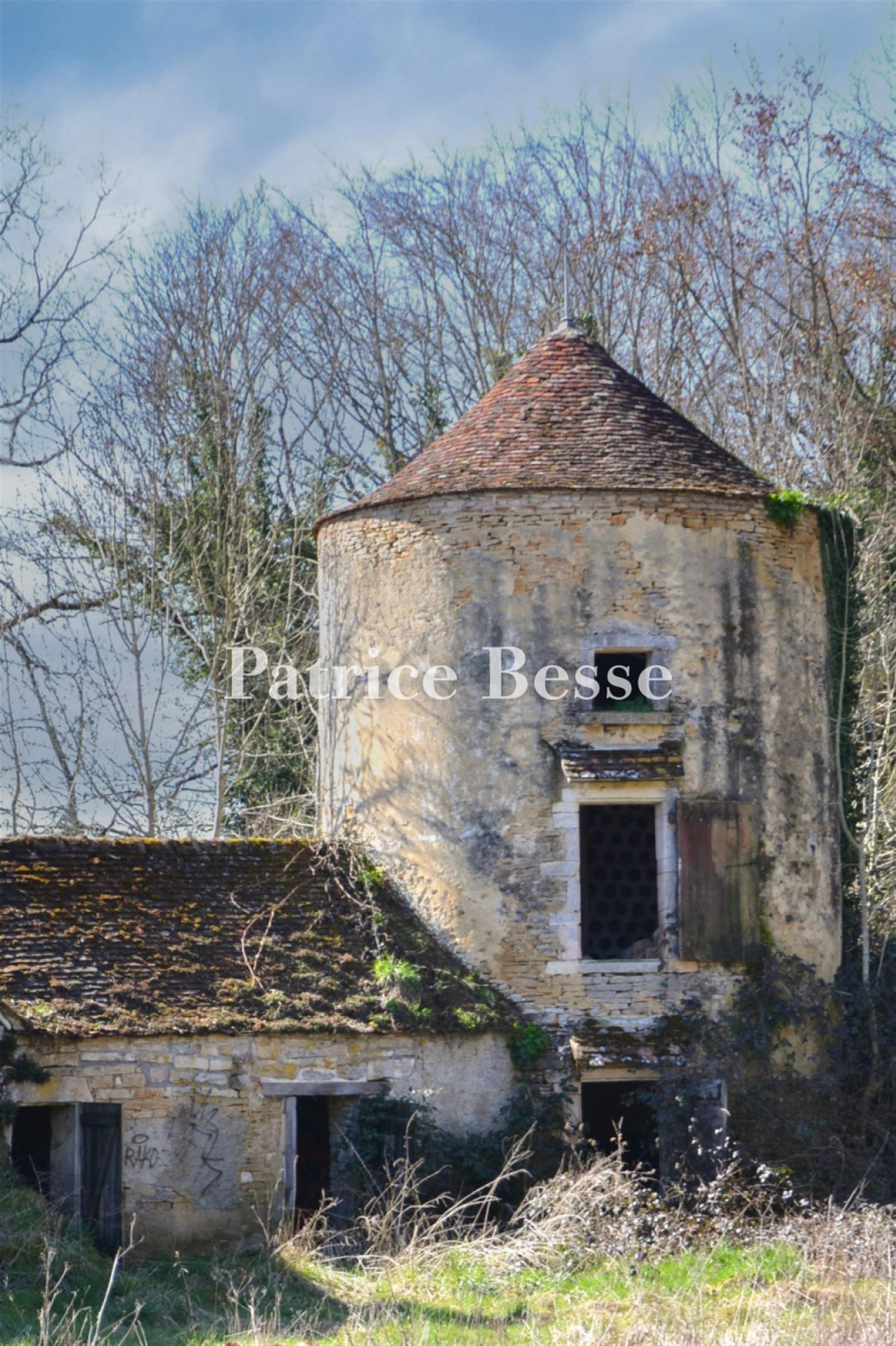 En Bourgogne, près de Beaune, les vestiges du château de Cussigny, Imh du 18e s , entouré de ses dép