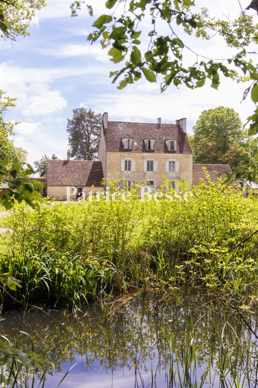 A beautiful manor house surrounded by over 6 hectares of woodland and unique tree houses in a natura