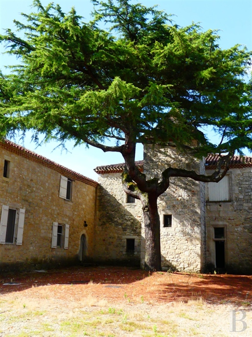 A 16th-century hamlet in need of a renovation, with a swimming pool, 23 hectares of grounds includin