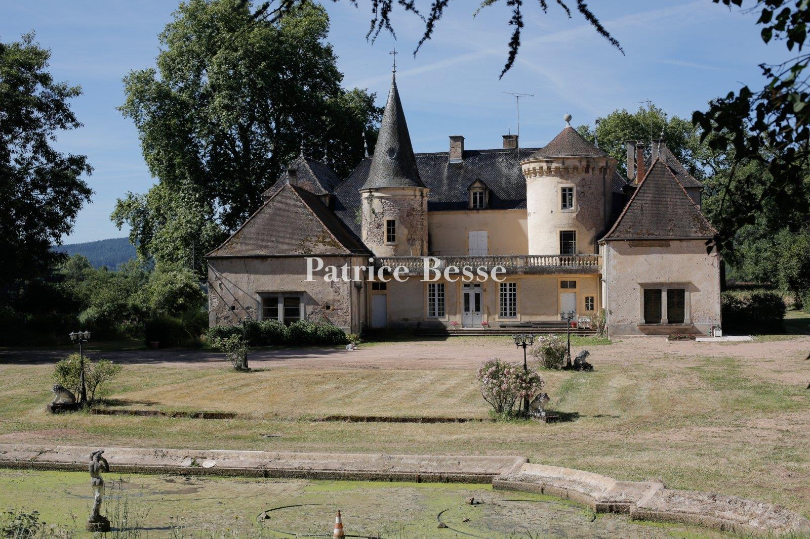 A large, 18th & 19th century, rural estate, with a chateau and outbuildings in 14 ha of parklands, m
