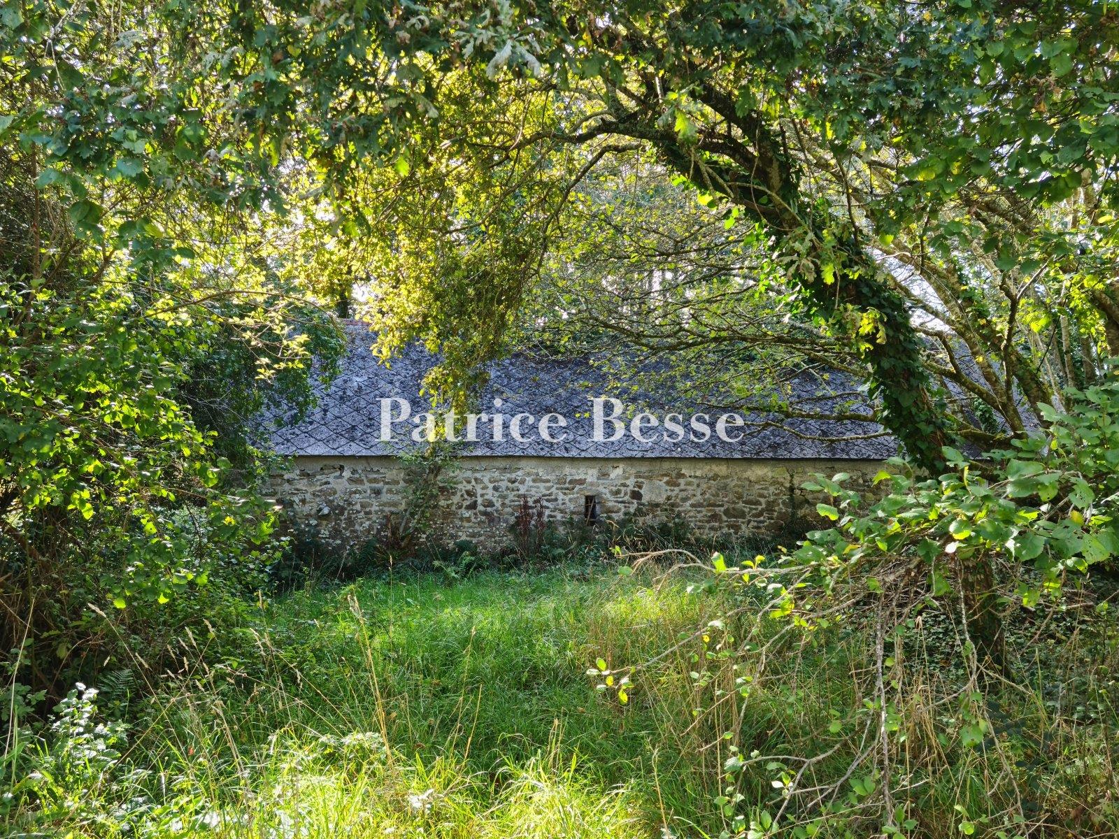 Four farms from the 16th and 18th centuries, in need of restoration, on an estate with 130 hectares