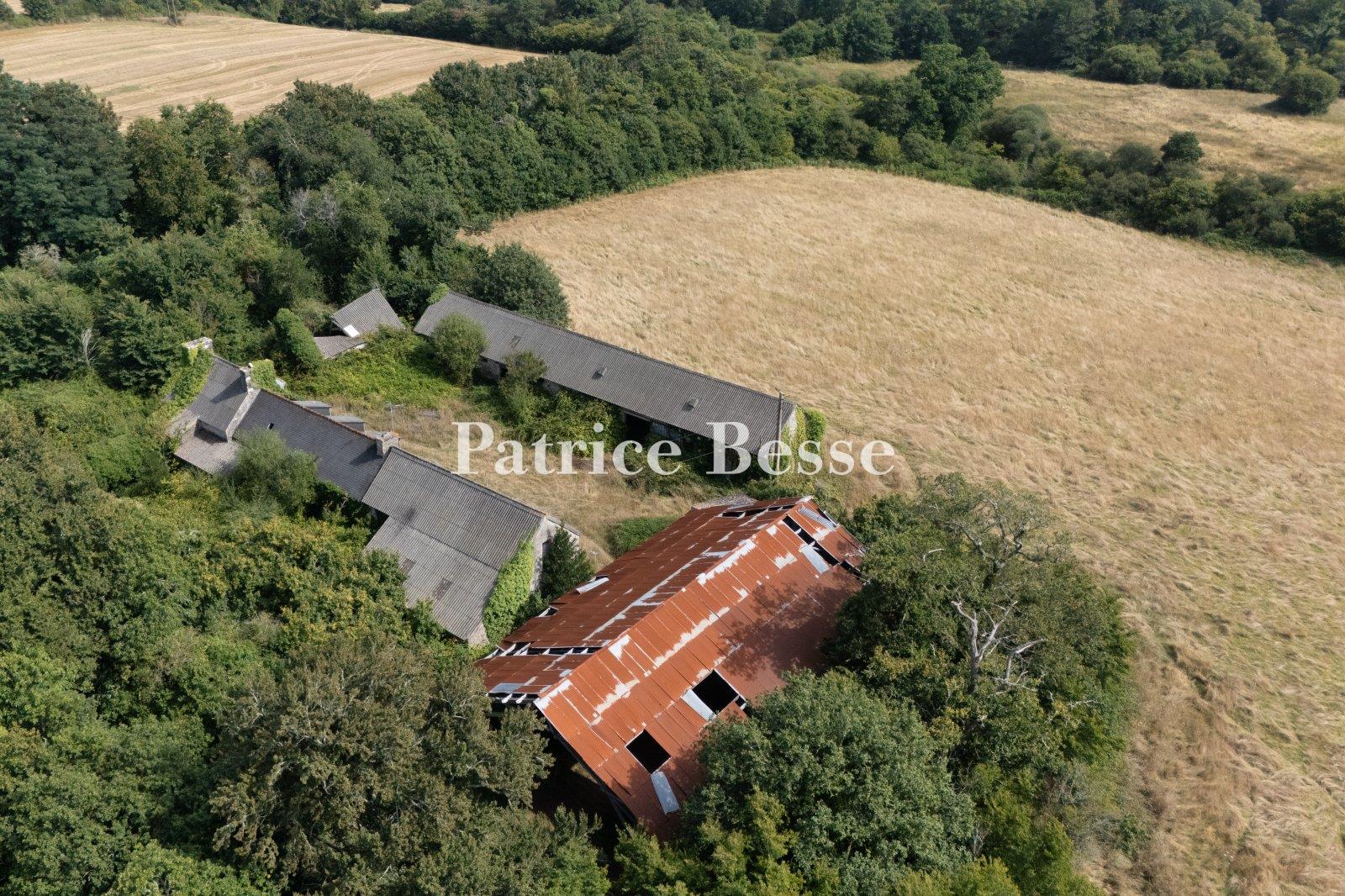 Four farms from the 16th and 18th centuries, in need of restoration, on an estate with 130 hectares