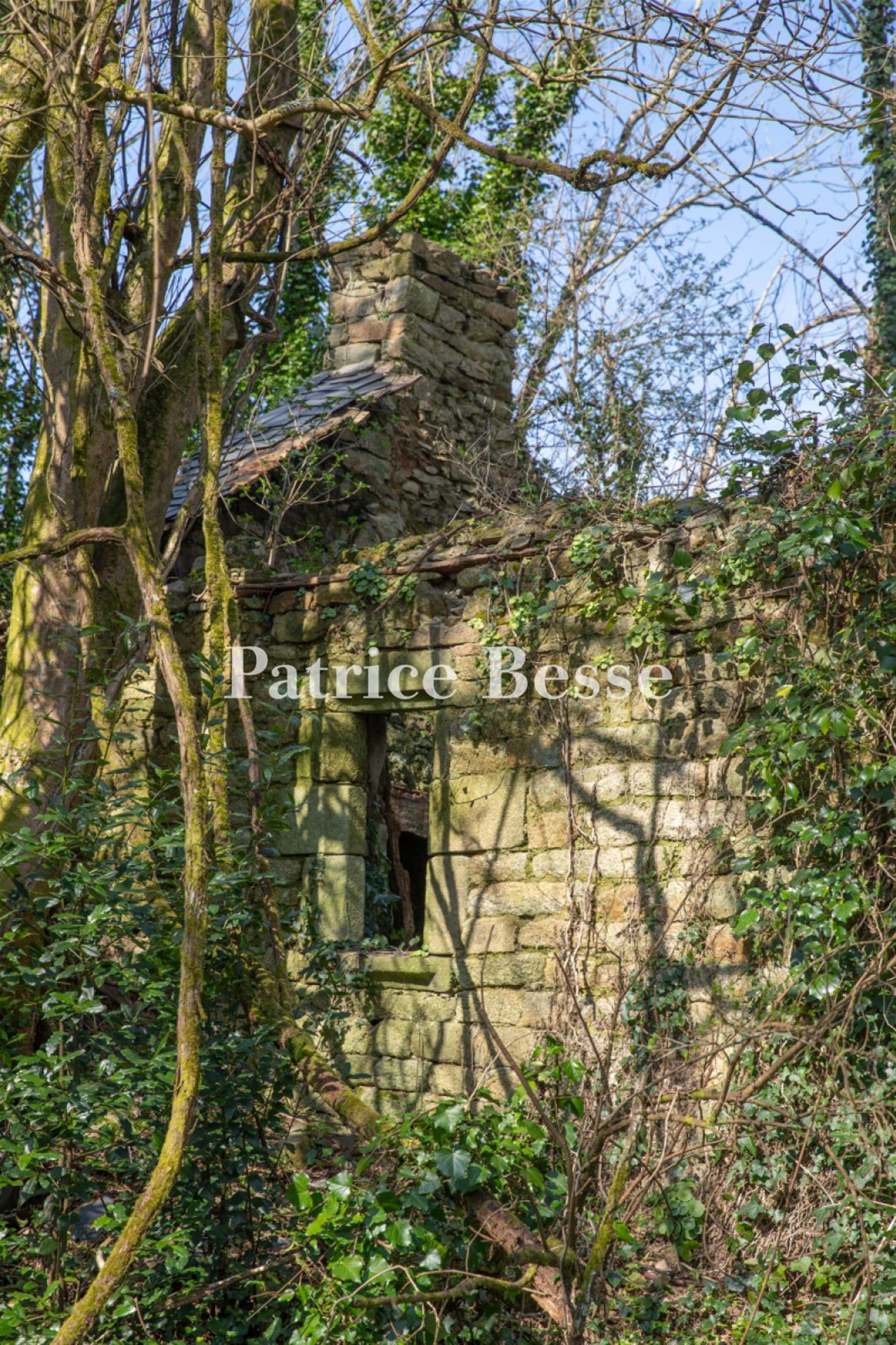 Four farms from the 16th and 18th centuries, in need of restoration, on an estate with 130 hectares