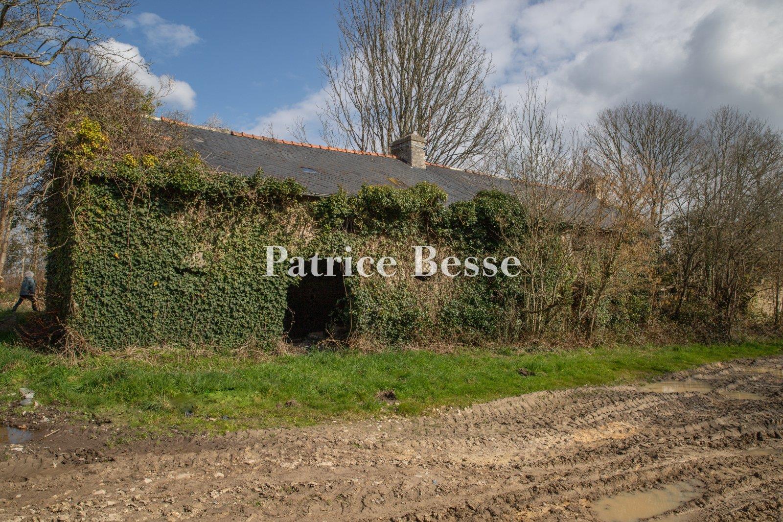 Four farms from the 16th and 18th centuries, in need of restoration, on an estate with 130 hectares