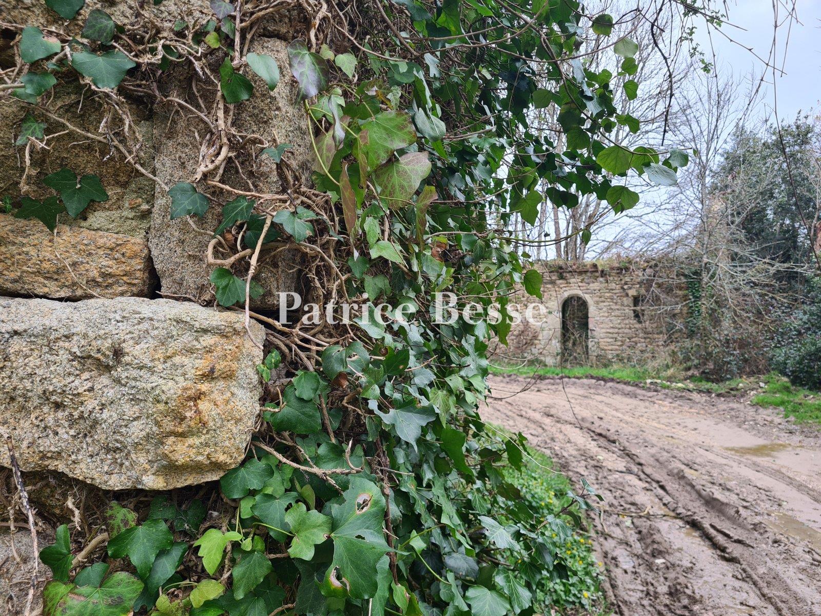 Four farms from the 16th and 18th centuries, in need of restoration, on an estate with 130 hectares