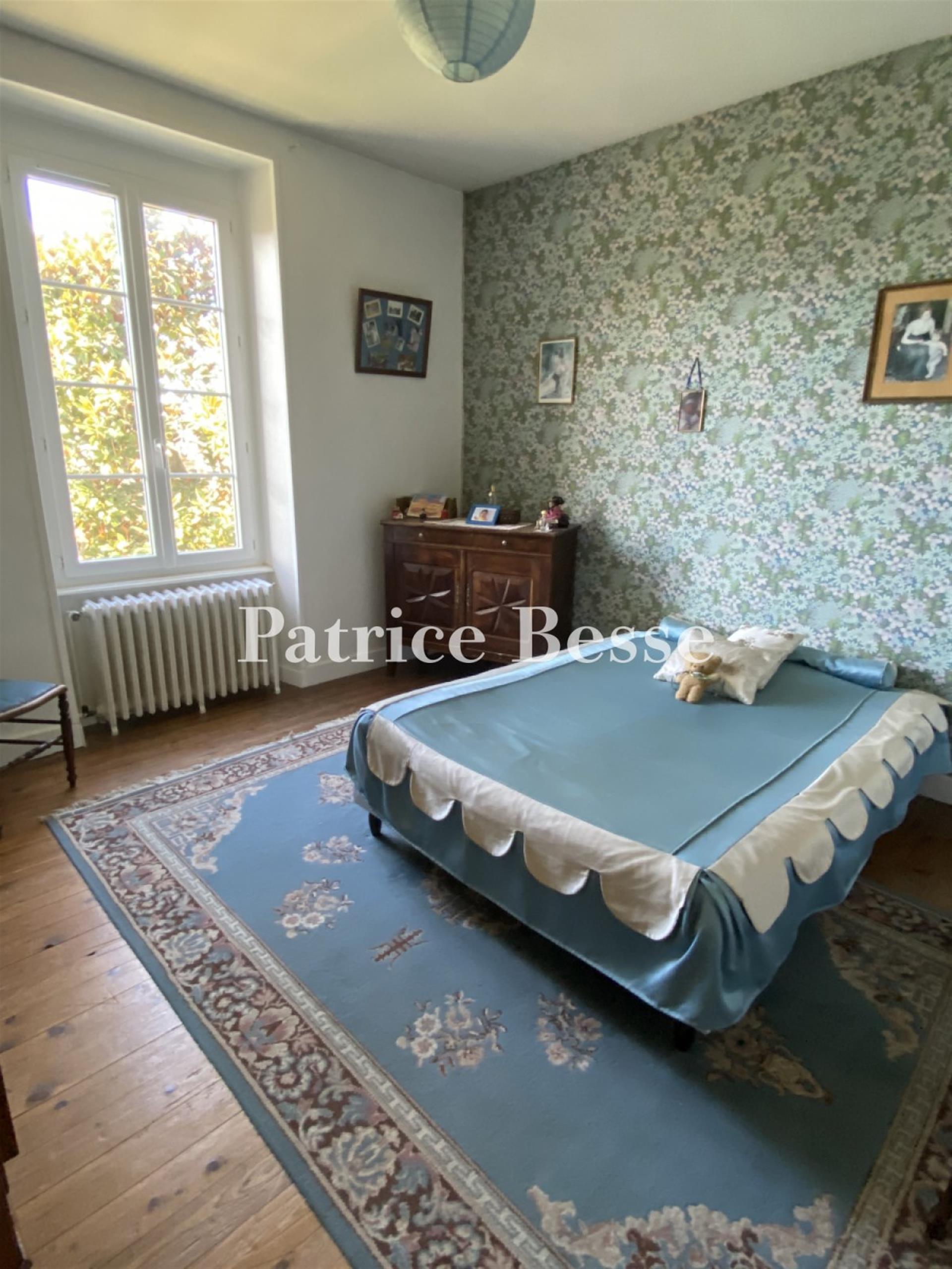A grand nineteenth-century house with a garden and annexe in a historical town in the south of Franc