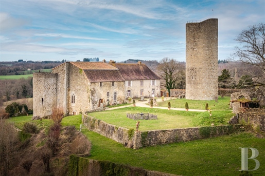 A medieval castle with its keep, ramparts and 2 hectares of terraced grounds, overlooking a village