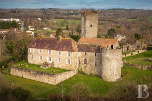 A medieval castle with its keep, ramparts and 2 hectares of terraced grounds, overlooking a village