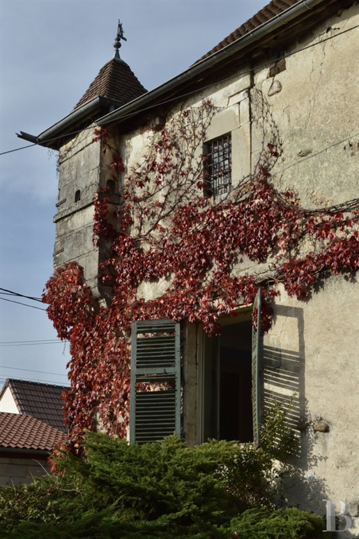 Op de grens tussen Champagne en Lotharingen,
 Een versterkte woning uit de 16e eeuw en zijn bijgebo