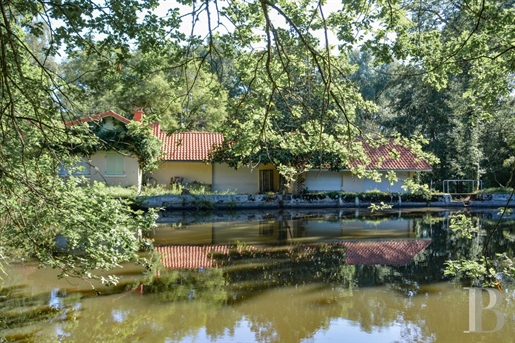 A contemporary villa and its lake in 1 5 ha of enclosed parklands in protected, natural surroundings