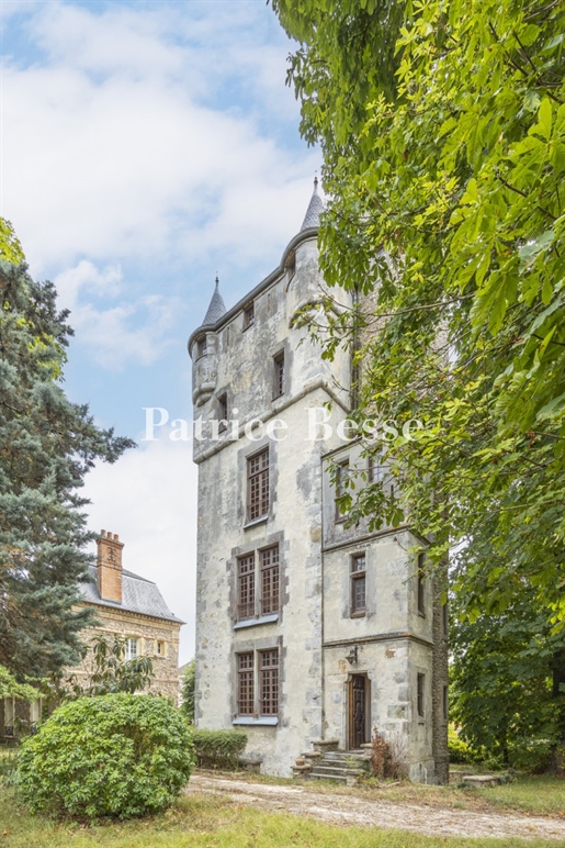 A 14th-century keep where Anne Boleyn lived as a child and a detached house, 40 km from Paris, near