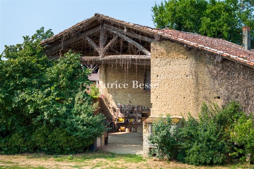 A 19th century farmhouse with generous volumes and its landscaped orchard of 1 ha, 20 minutes from M