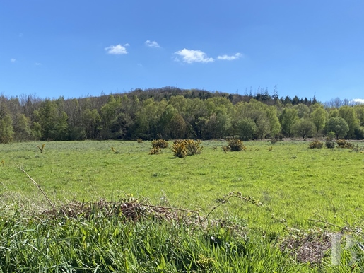 A 91-hectare natural estate, with 76 continuous hectares, 25 minutes from the beaches, in the Léguer