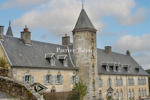 Na fronteira entre Limousin e Auvergne, um castelo de aldeia de origem medieval, o seu vasto