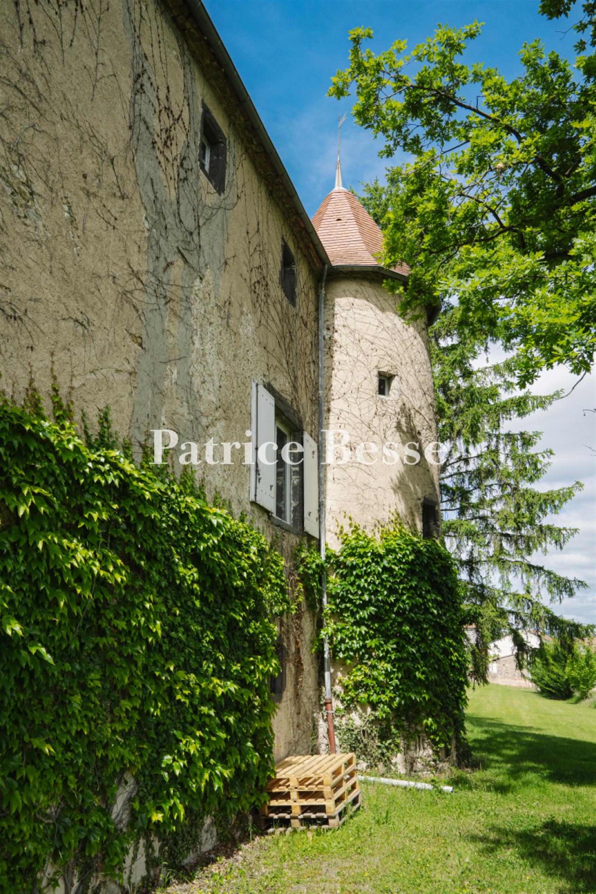Dans le nord du département du Puy-de-Dôme, un château établi au centre d'un terrain de 5 ha.
