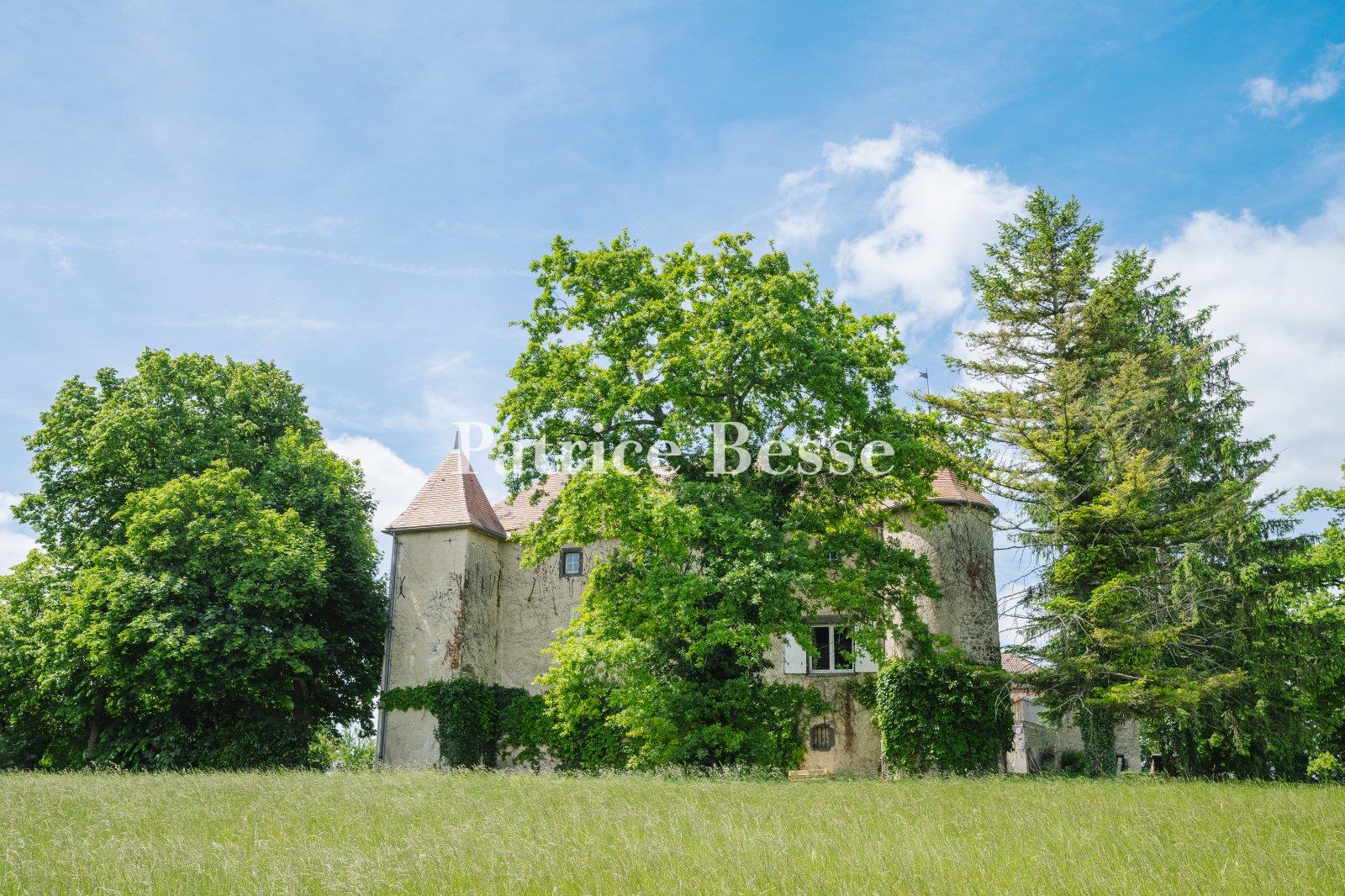 Dans le nord du département du Puy-de-Dôme, un château établi au centre d'un terrain de 5 ha.
