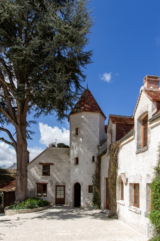 À Beaugency, dans le Val de Loire, une propriété composée de deux maisons avec son bois et son parc.