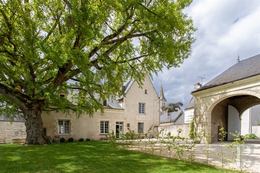 A listed 16th-18th century house in the shade of a ginkgo biloba tree, near to Bourgueil.