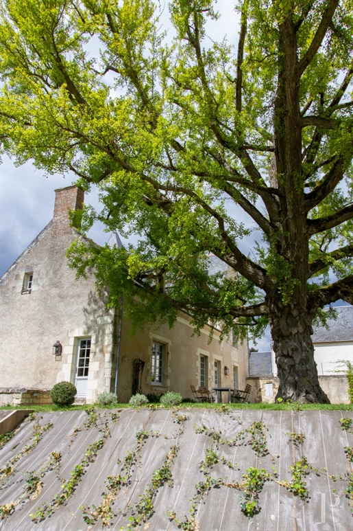 In Touraine, op 5 minuten van Chinon, een Ismh woning uit de 16e en 18e eeuw, in de schaduw van een
