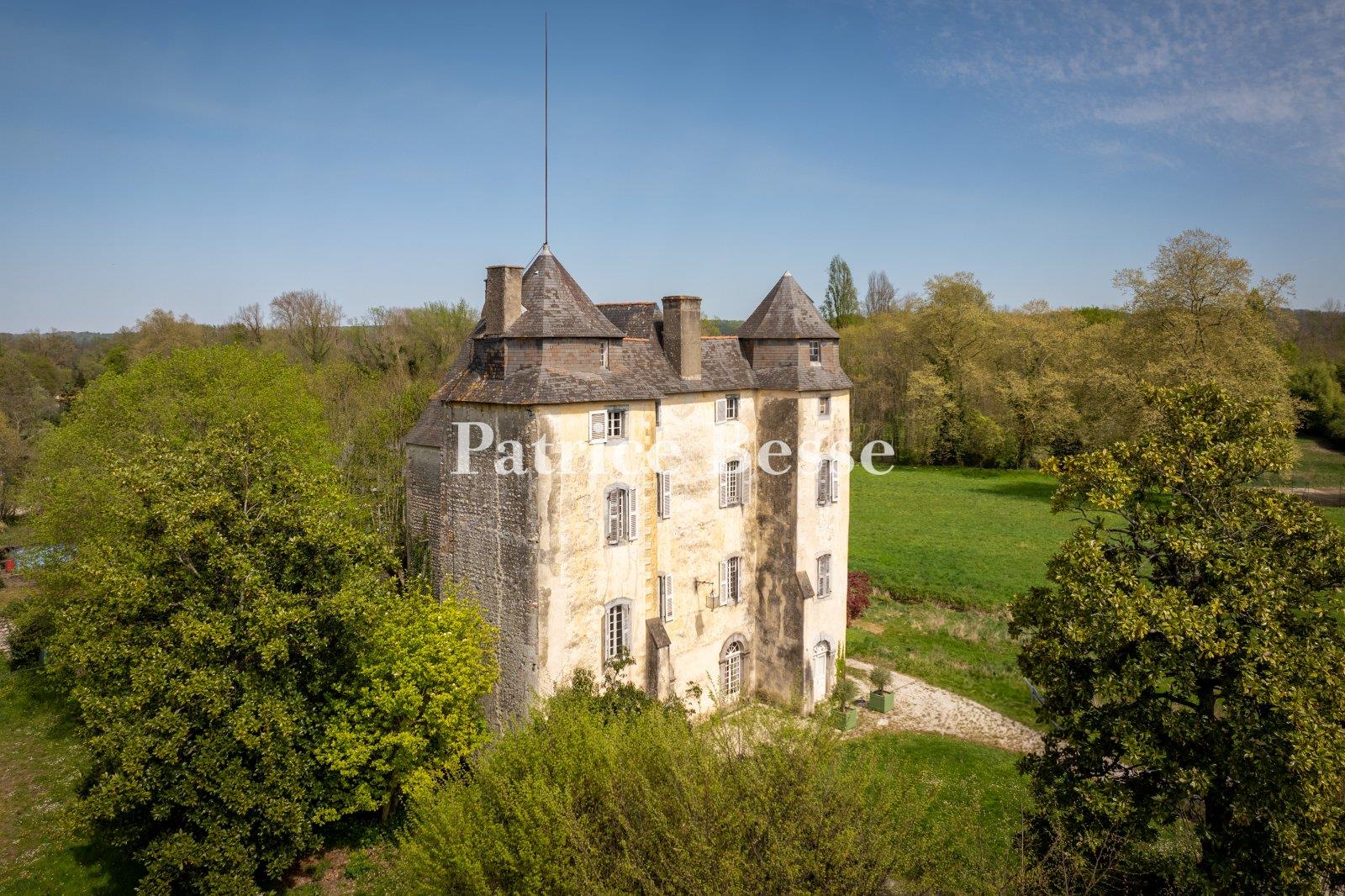 A listed historical monument medieval castle and its former mill in the Hautes-Pyrénées area, in tre