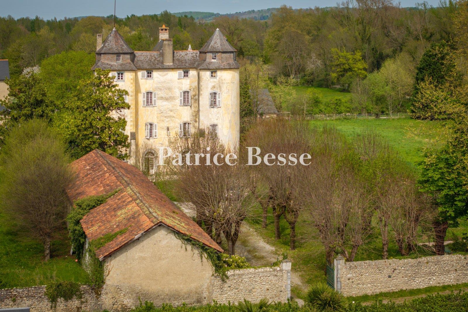 A listed historical monument medieval castle and its former mill in the Hautes-Pyrénées area, in tre