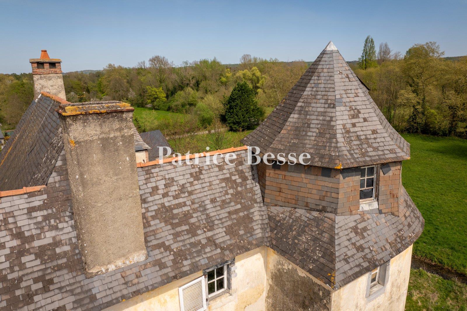 A listed historical monument medieval castle and its former mill in the Hautes-Pyrénées area, in tre