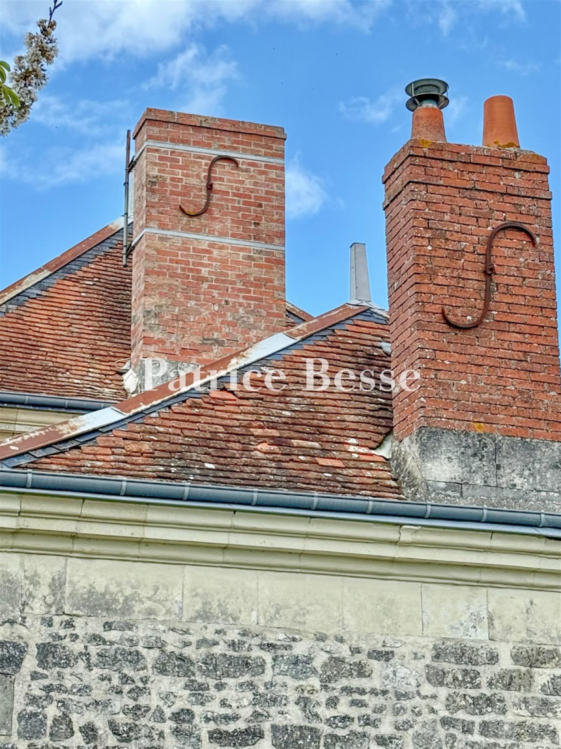 Entre Touraine et Poitou, près de Richelieu, une maison de maître avec ses dépendances et son parc d