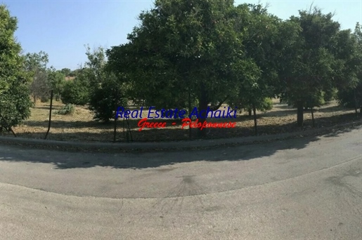 Advert picture