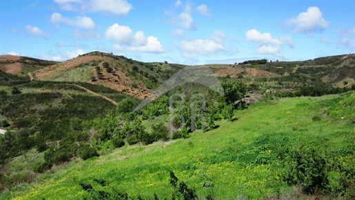 Terreno con vistas al campo y al valle