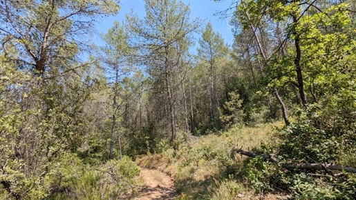 Carces - Land 20.328m² in a Natural Zone