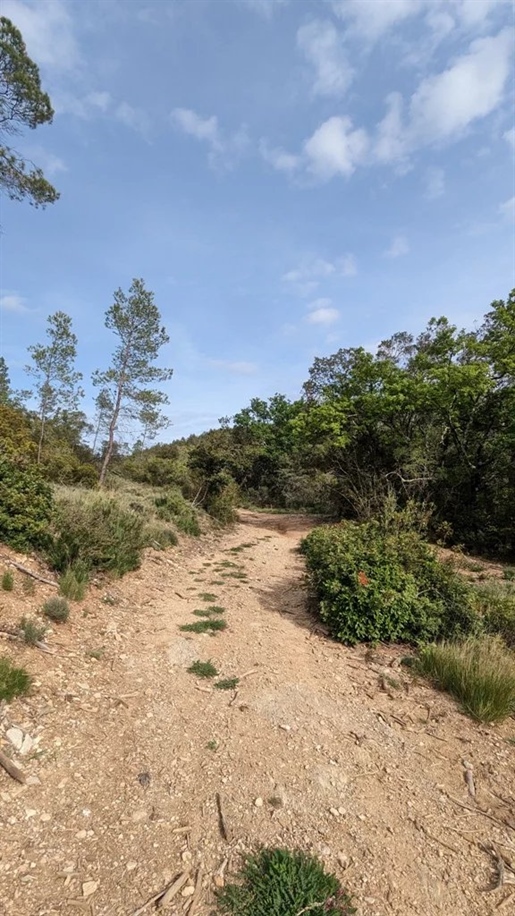 Carces - Land 26,860m² in Natural zone