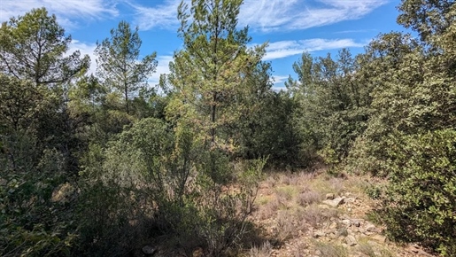 Carces - View of Lake Carcès 52,545m²