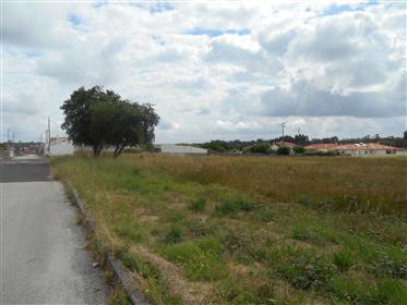 Land in Marinha Grande