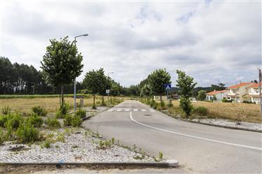 18 plots of land for sale in Paião - Coimbra